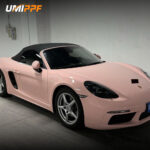 Color PPF-Shell Pink - Image 2