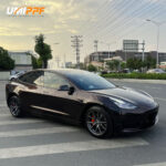 Color PPF-Plum Red - Image 2