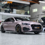 Color PPF-Matte Berry Pink - Image 2