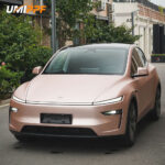 Color PPF-Matte Rose Glod - Image 2