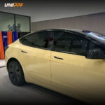 Color PPF-Cloud Yellow - Image 3
